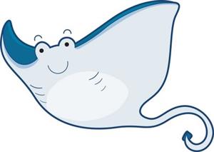 The Rays Team 
